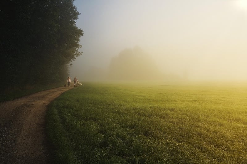 Mystic Meadows